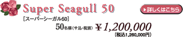 �X�[�p�[�V�[�K��50