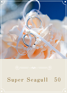 Super Seagull50