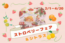 毎年大人気！！ストロベリーフェア＆シトラス