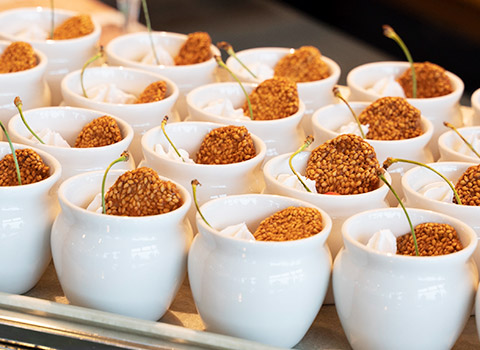 フォトギャラリー