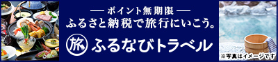 ポイント無期限 ふるさと納税で旅行にいこう。ふるなびトラベル
