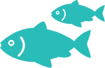魚アイコン