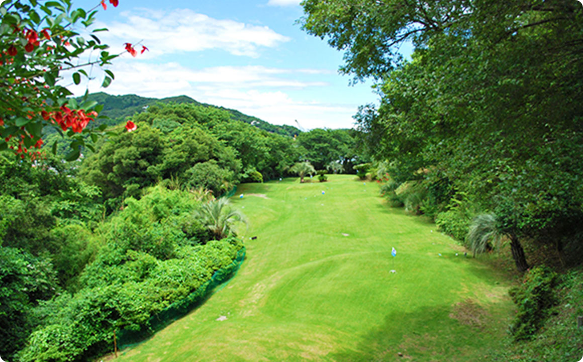 アクティビティ