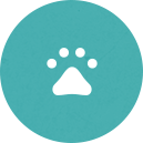 アイコン：ペットOK